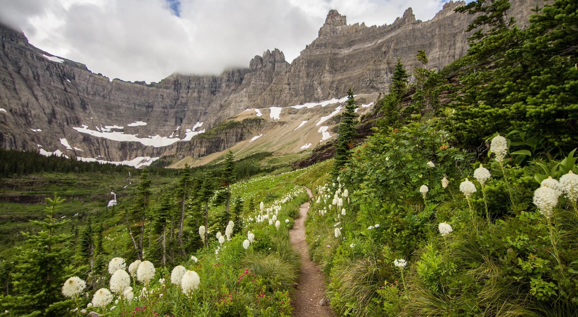 what a friend we have in Jesus