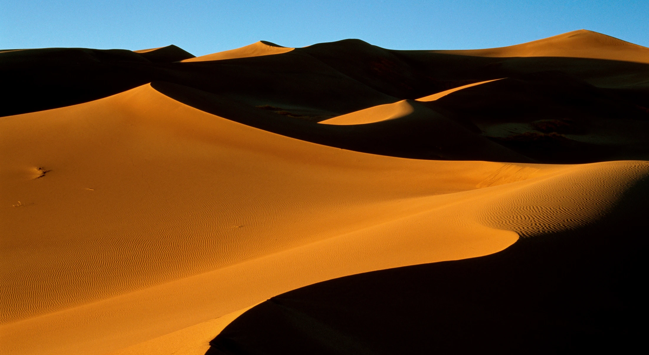 Things Ushaa Shialom Said