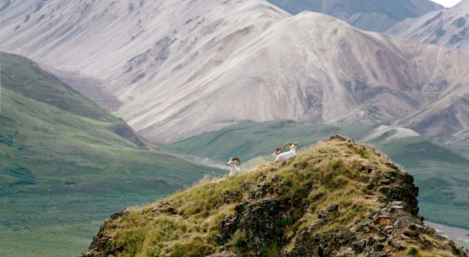 Jesus was not killed by atheism