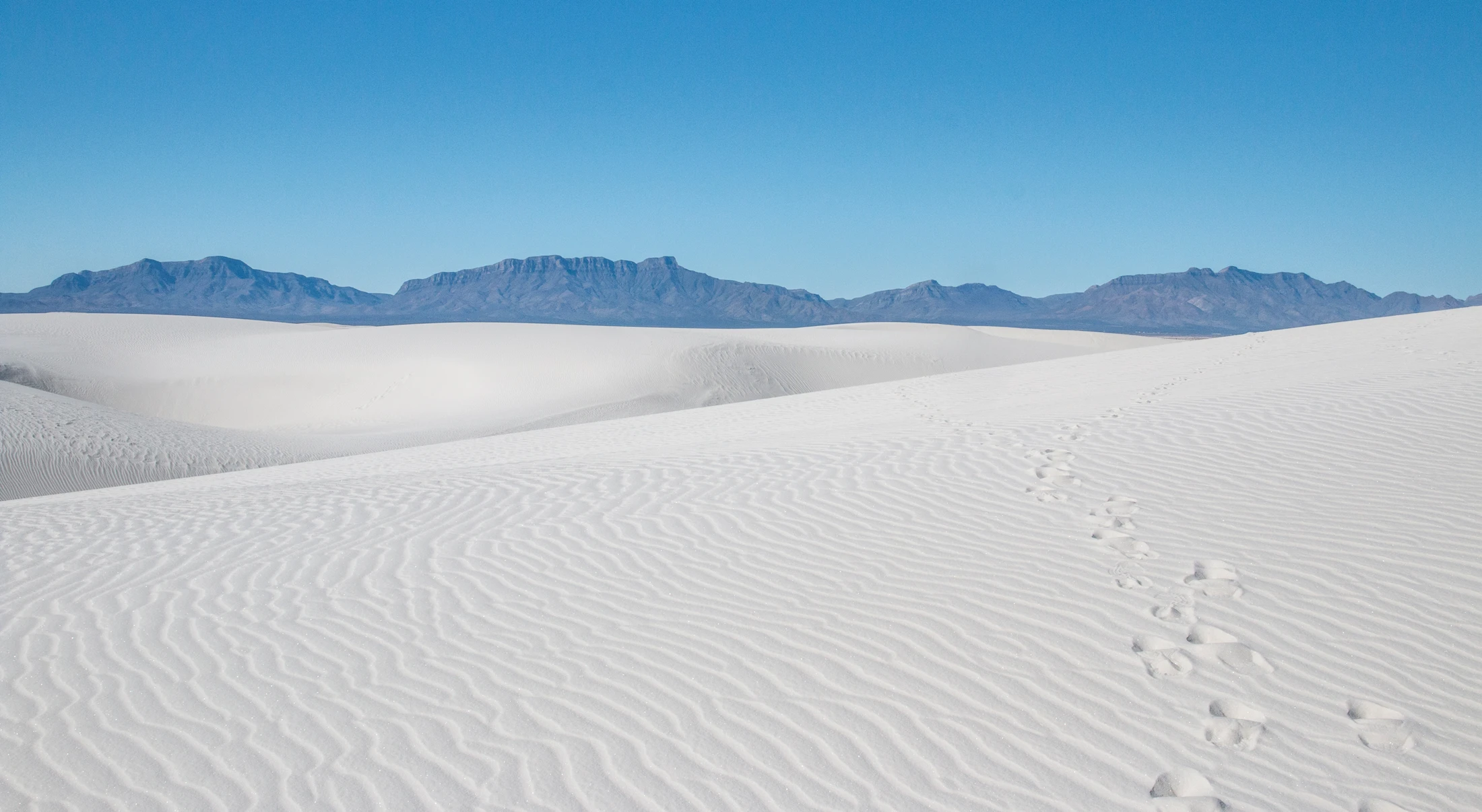 The Journey of His Followers