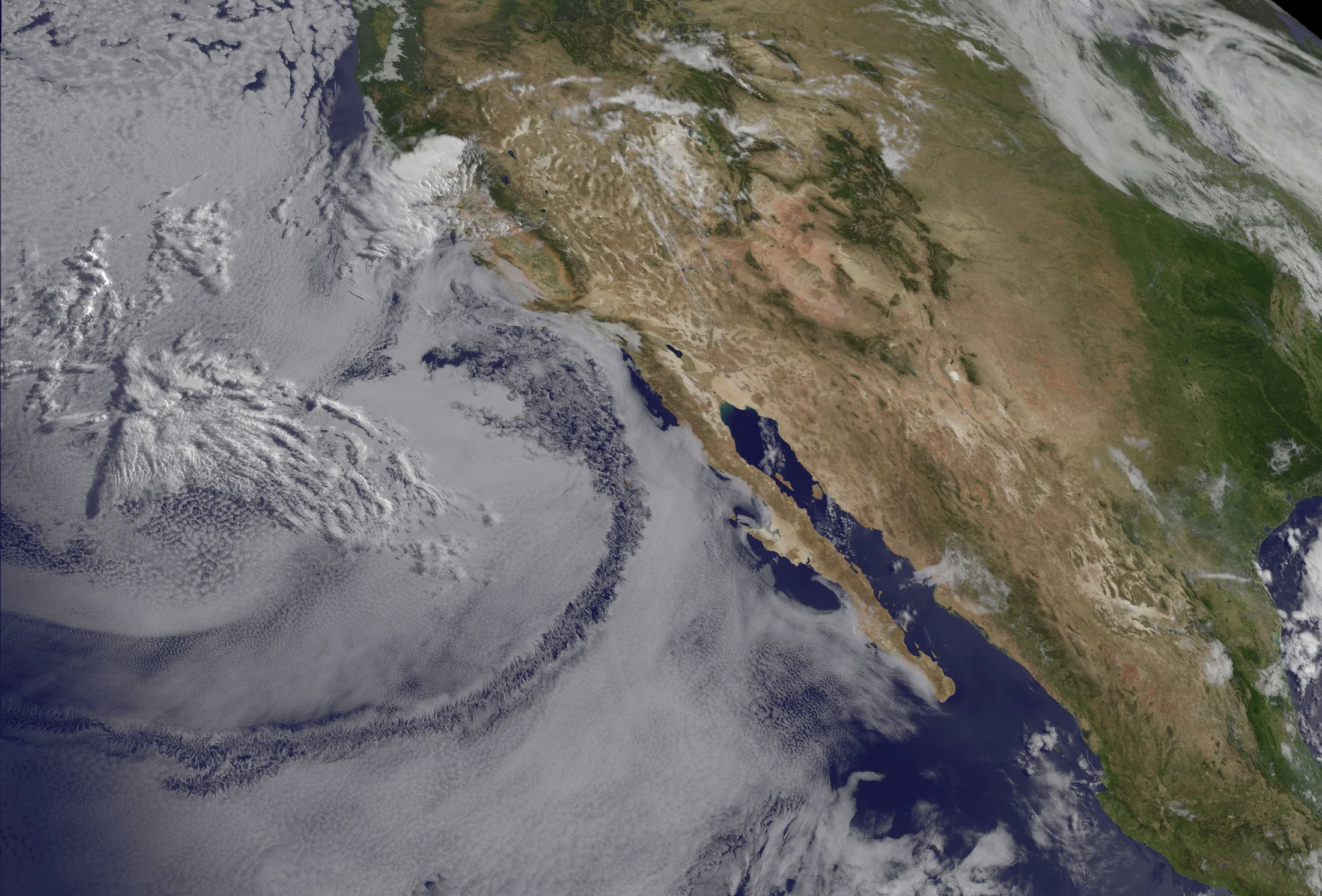 the word of God is alive and active